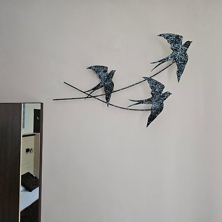 Cosy Studio 9 Aziz Konstantin ve Elena Dış mekan fotoğraf